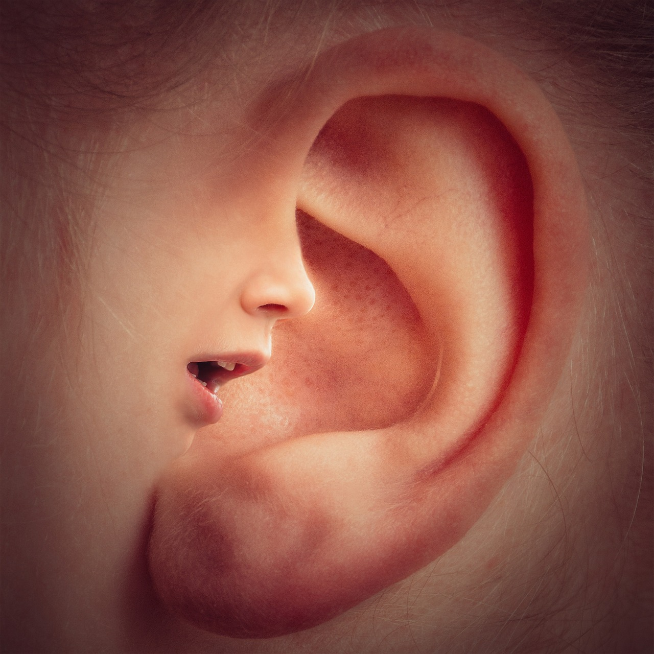 Interesting-Facts-About-Ears